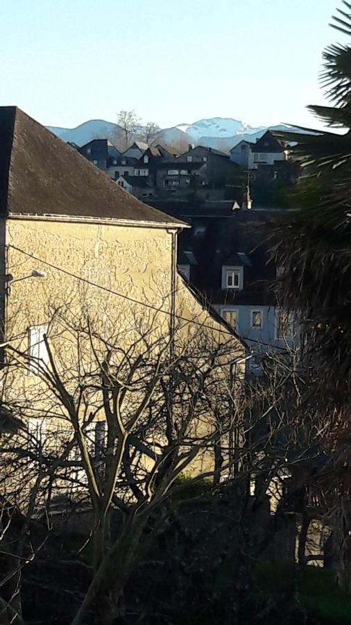 Chambres D'Hotes L'Oustal Oloron-Sainte-Marie Luaran gambar
